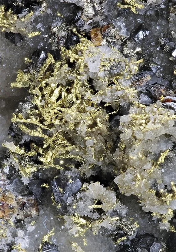 NATIVE Gold - image 1