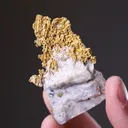 NATIVE Gold - image 2