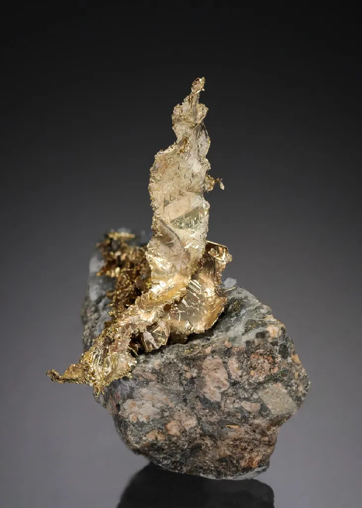 NATIVE Gold image