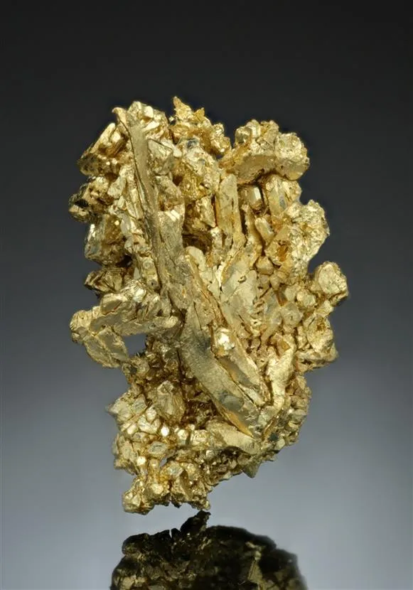 NATIVE Gold - image 1