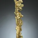 NATIVE Gold - image 1