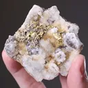 NATIVE Gold - image 2