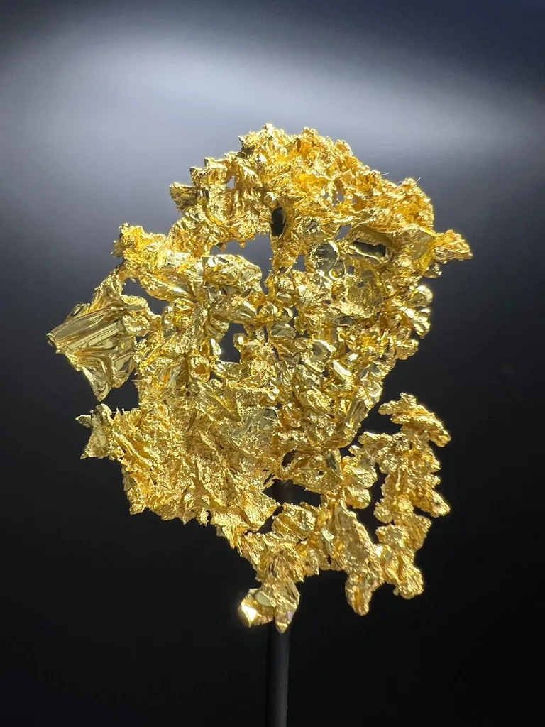 NATIVE Gold image