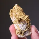 NATIVE Gold - image 2