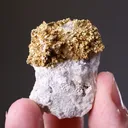 NATIVE Gold - image 2