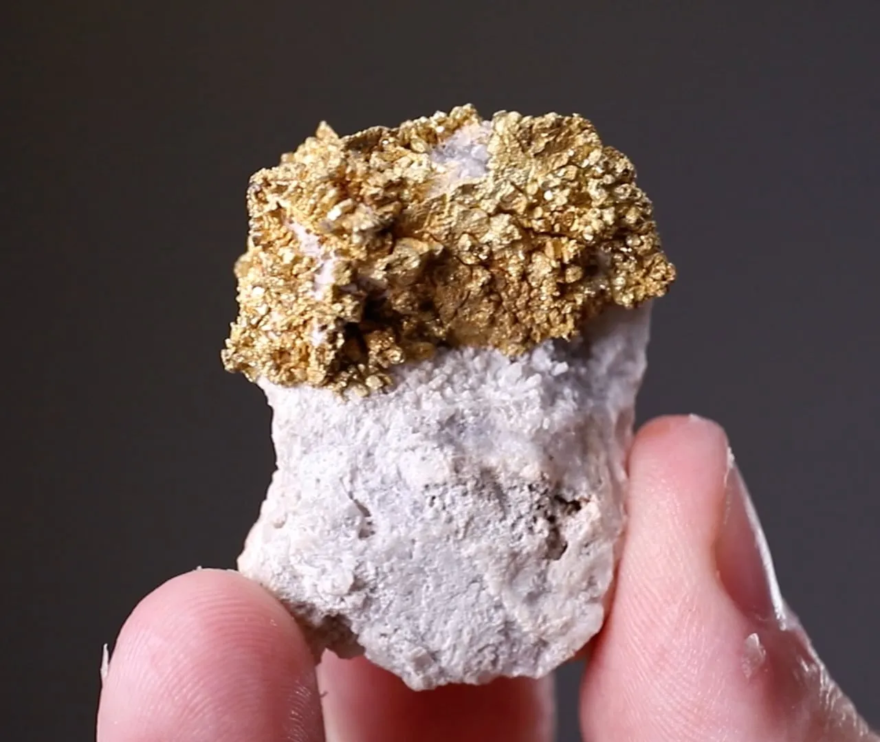 NATIVE Gold - image 2