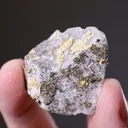 NATIVE Gold - image 2