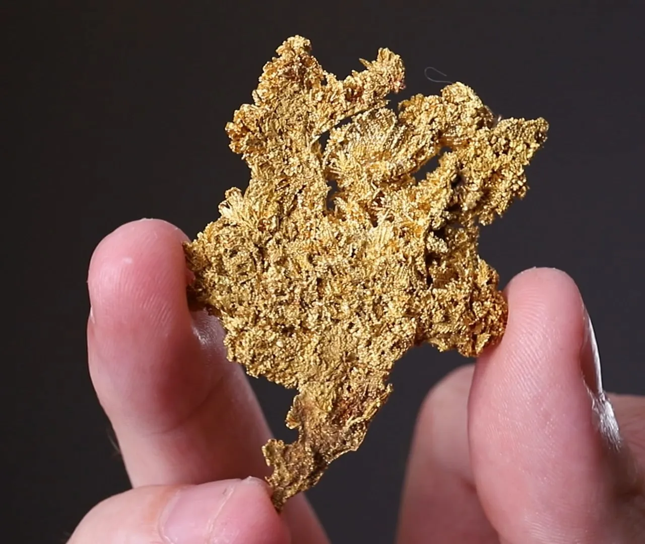 NATIVE Gold - image 2