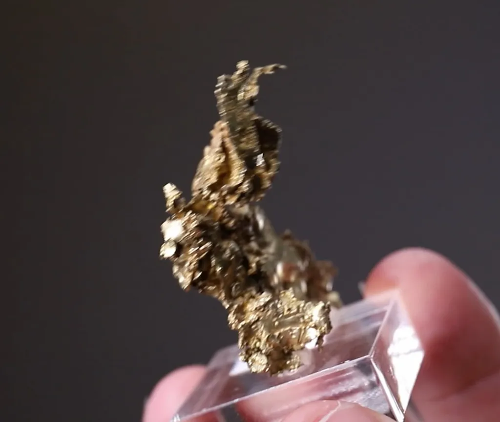NATIVE Gold - image 2