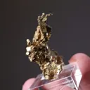 NATIVE Gold - image 2