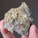 NATIVE Gold - image 2