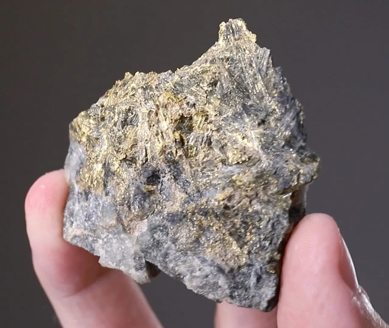 NATIVE Gold - image 2