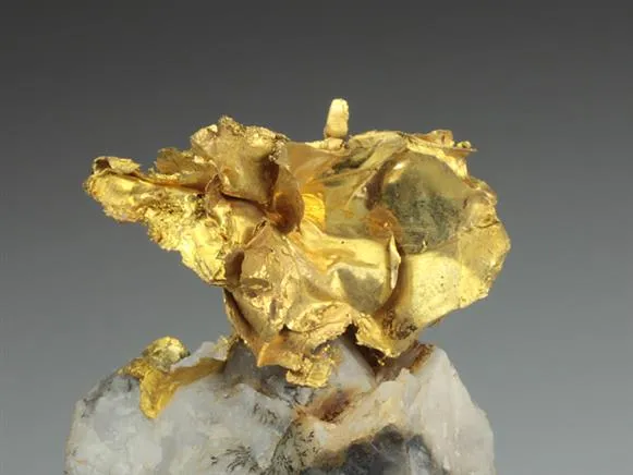 NATIVE Gold image