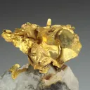 NATIVE Gold - image 1