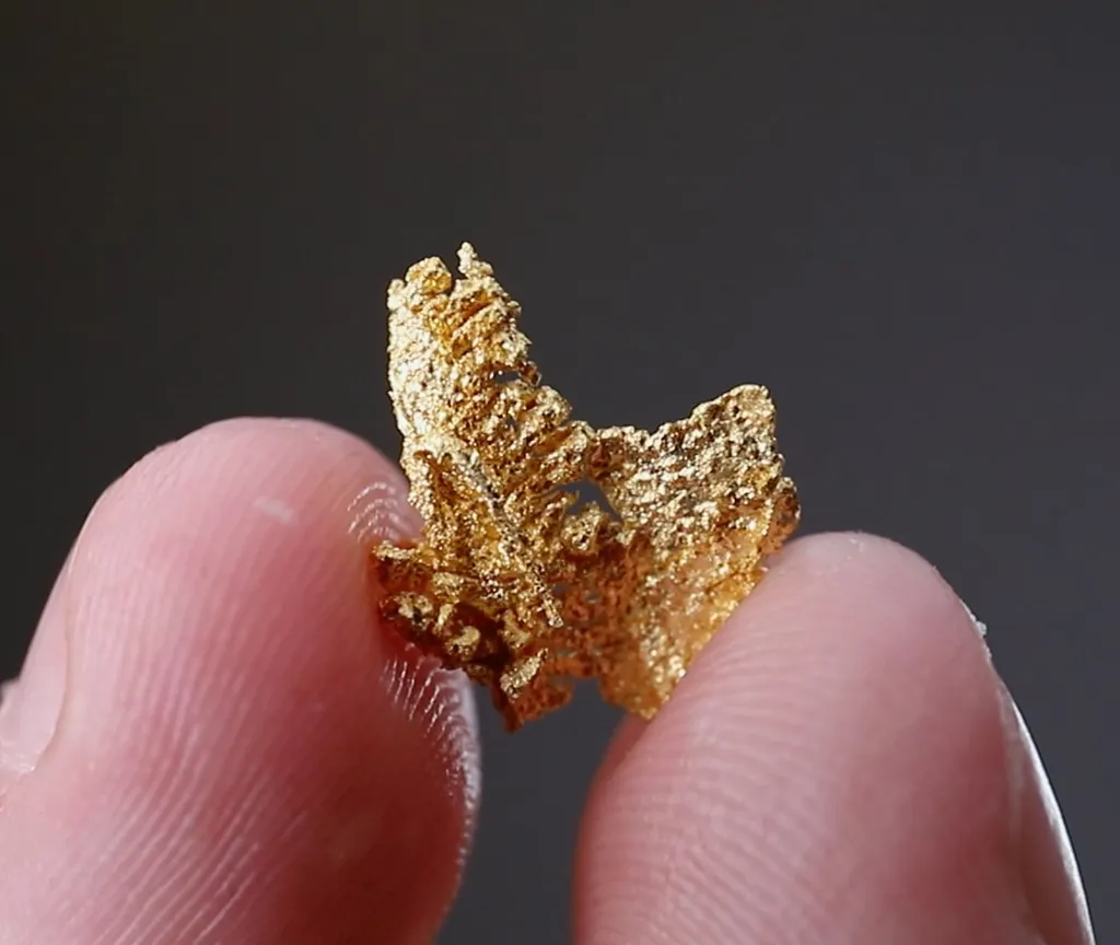NATIVE Gold - image 2