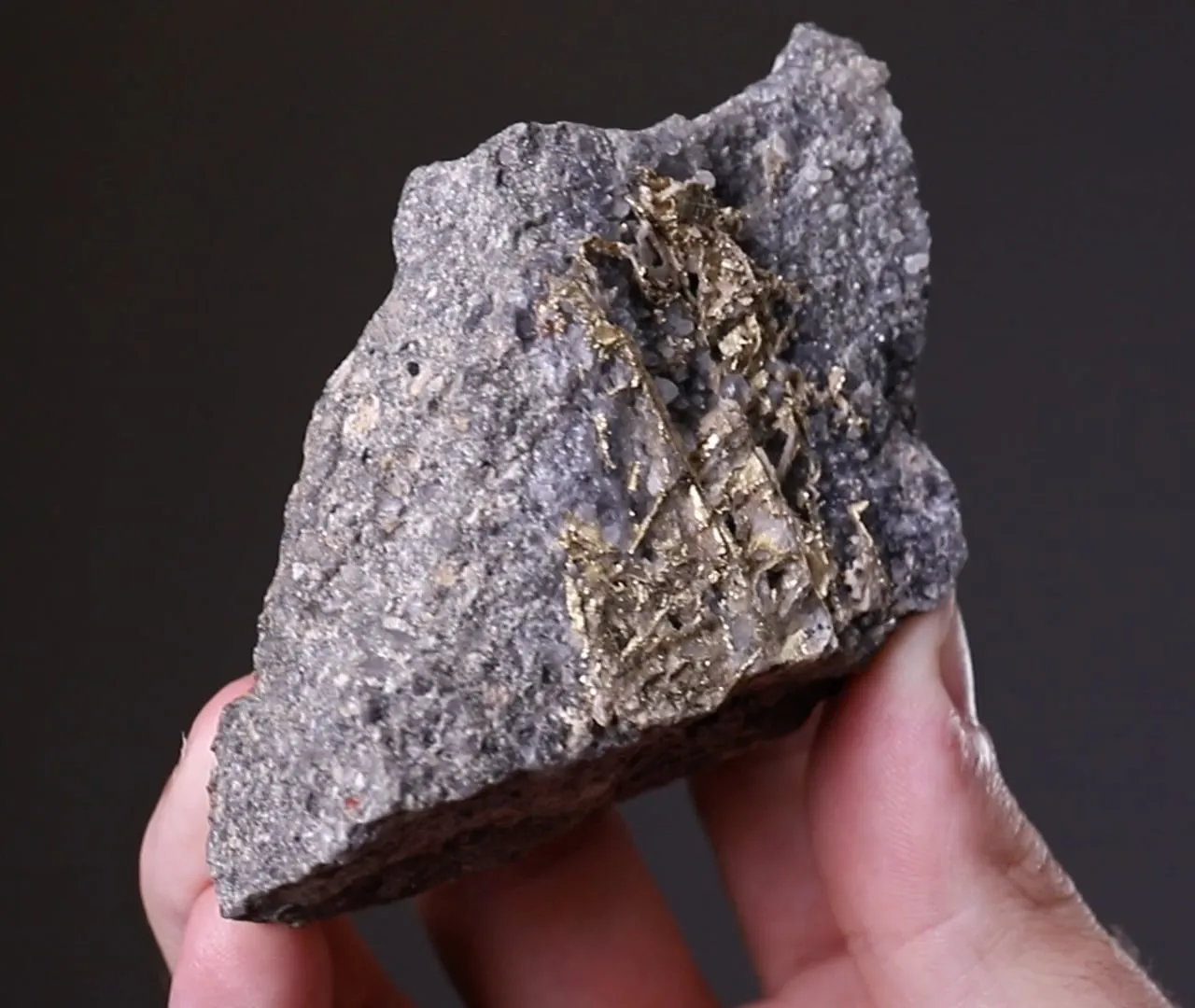 NATIVE Gold - image 2