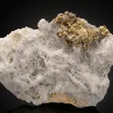 NATIVE Gold - image 1