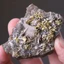 NATIVE Gold - image 2