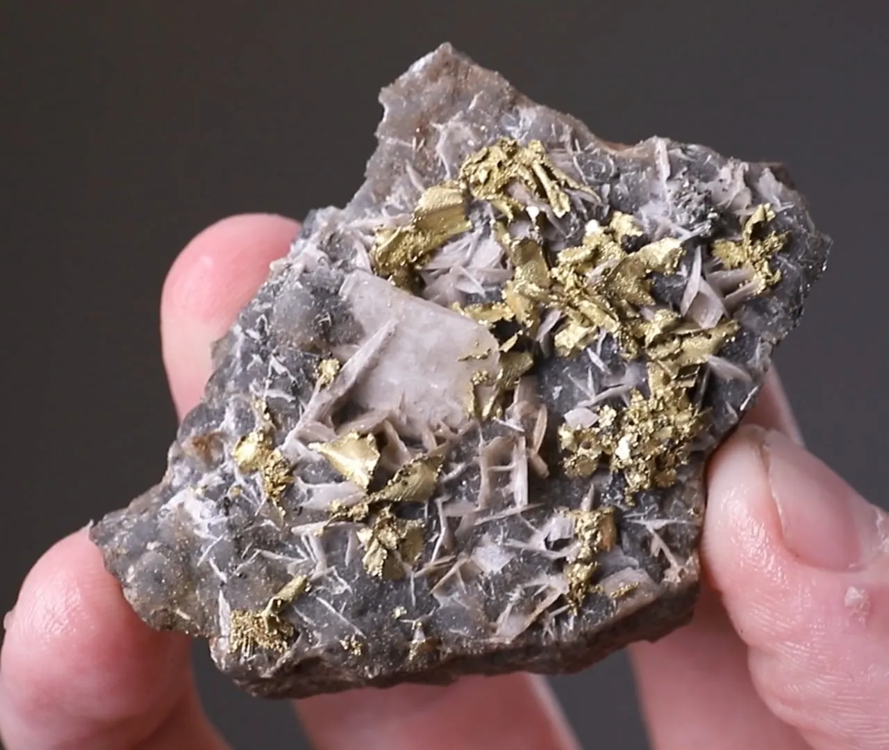 NATIVE Gold - image 2