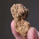 NATIVE Gold - image 2