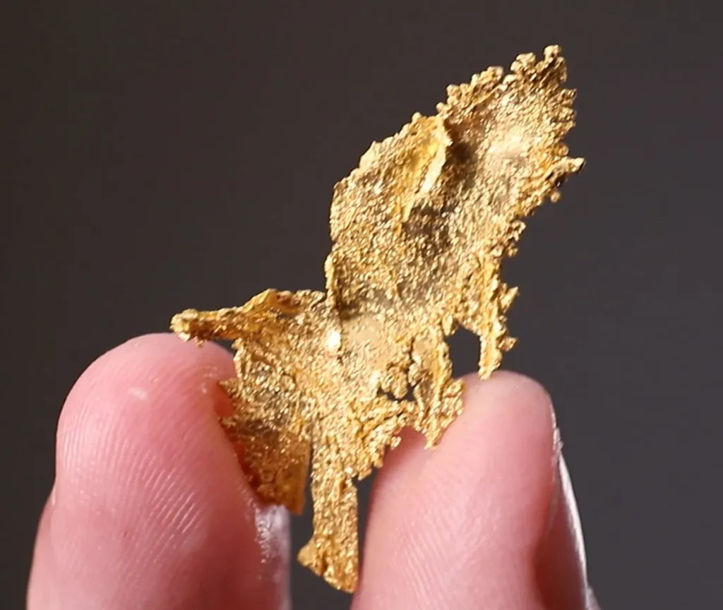 NATIVE Gold - image 2