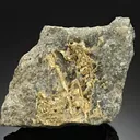 NATIVE Gold - image 1