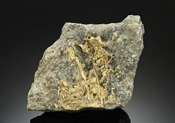 NATIVE Gold - image 1