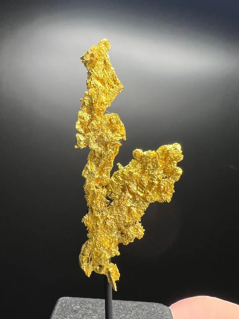 NATIVE Gold image