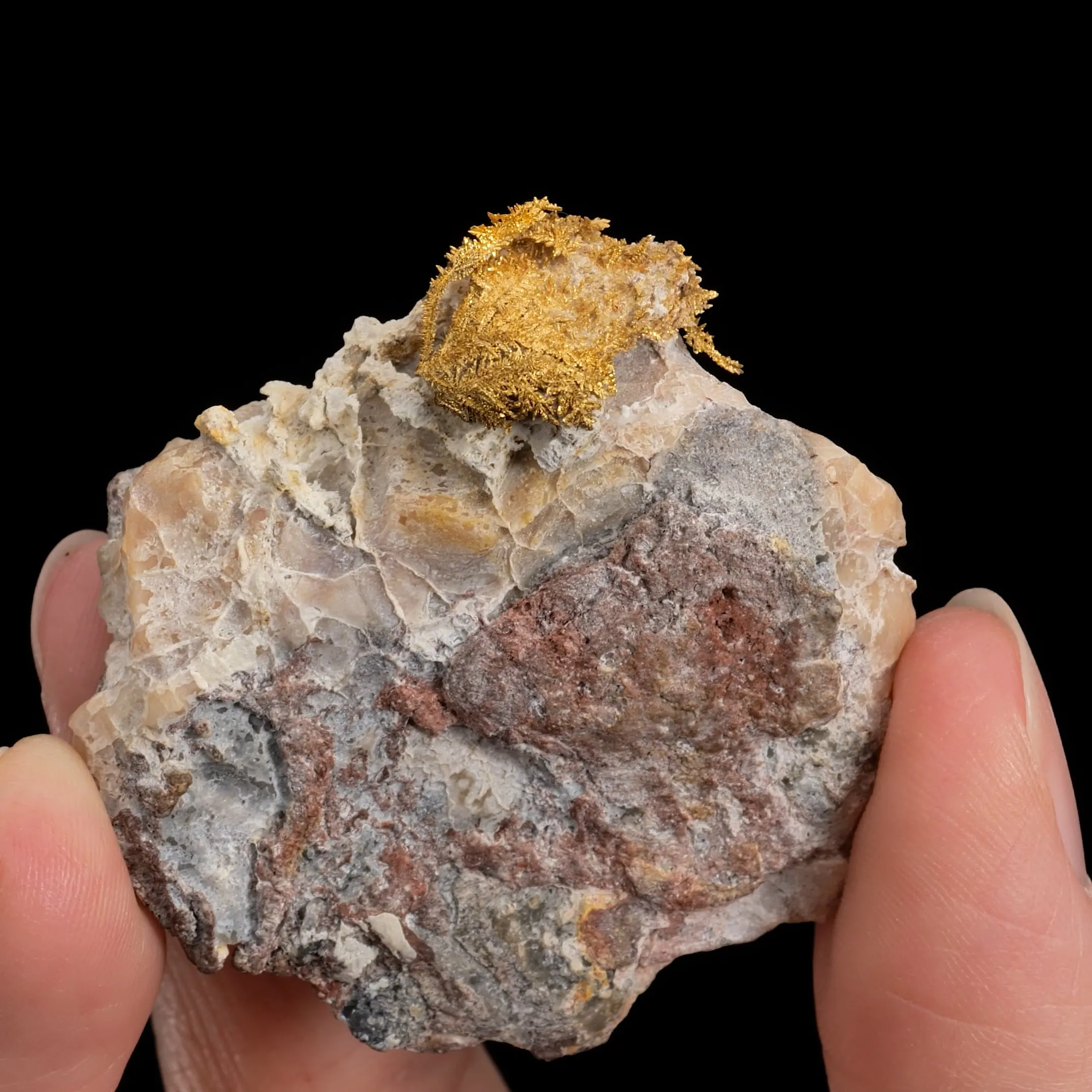 NATIVE Gold - image 2