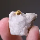 NATIVE Gold - image 2