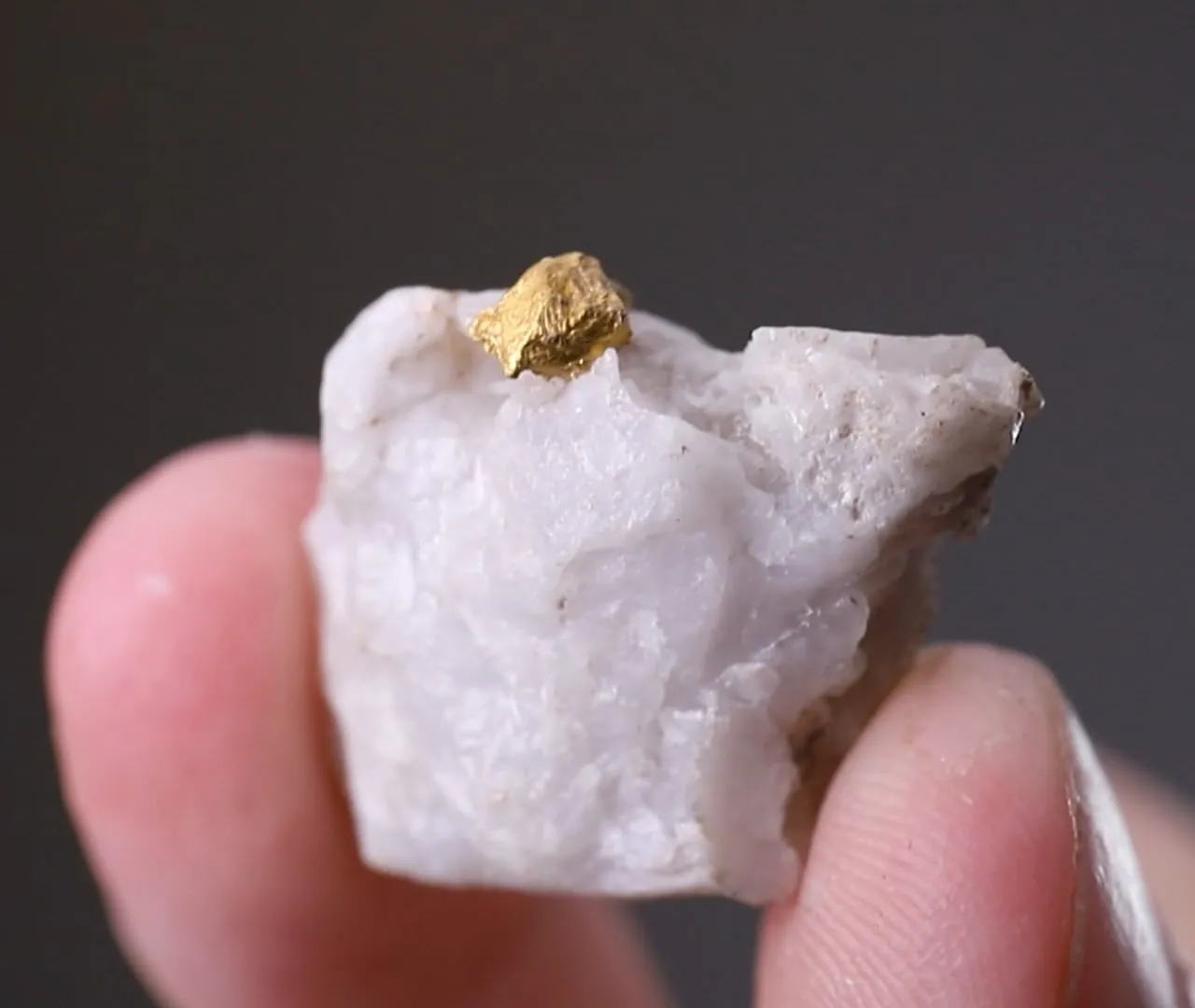 NATIVE Gold - image 2