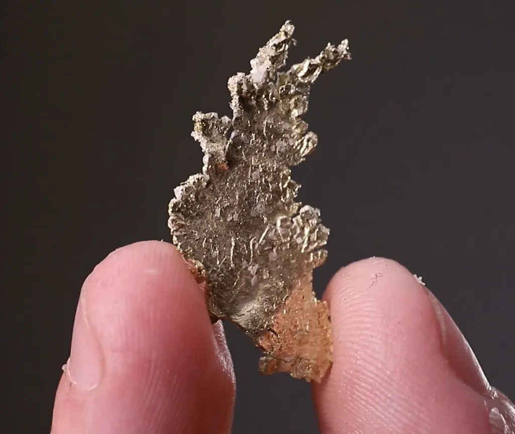 NATIVE Gold - image 2