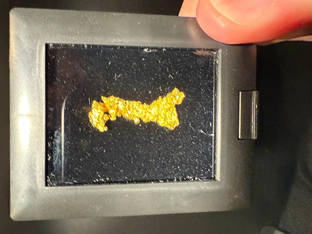 NATIVE Gold image