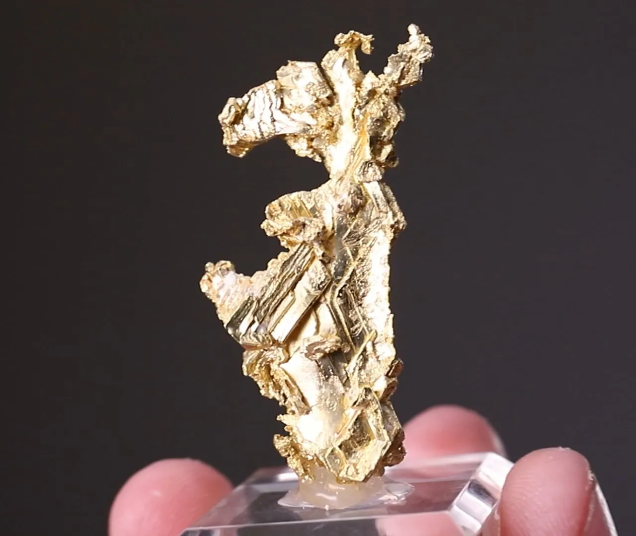 NATIVE Gold - image 2