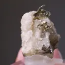 NATIVE Gold - image 2