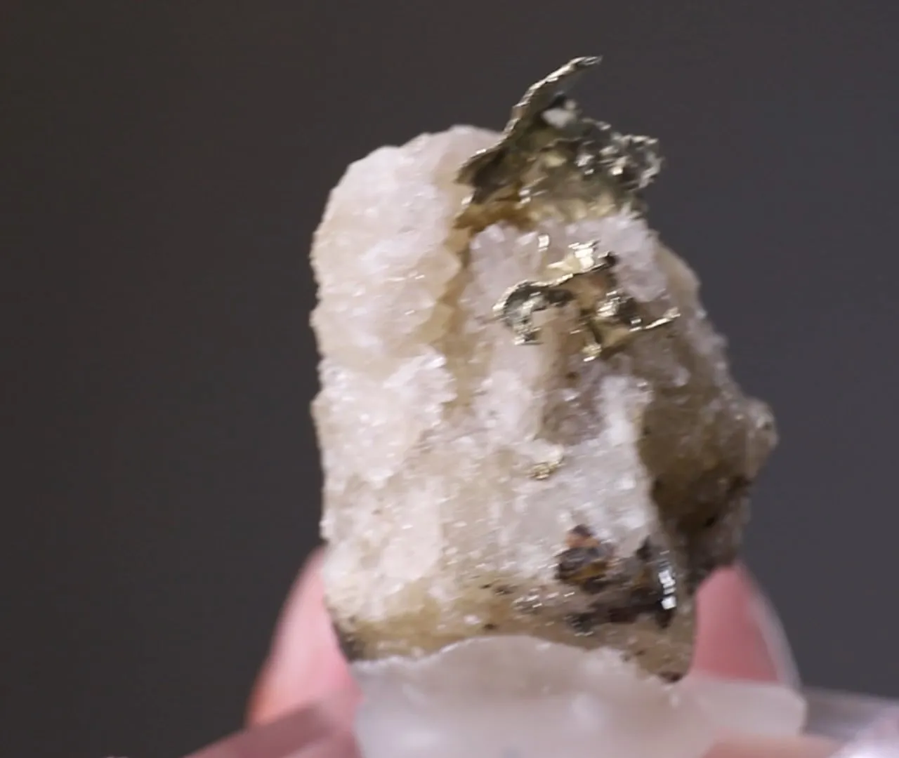 NATIVE Gold - image 2