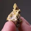 NATIVE Gold - image 2