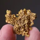 NATIVE Gold - image 2