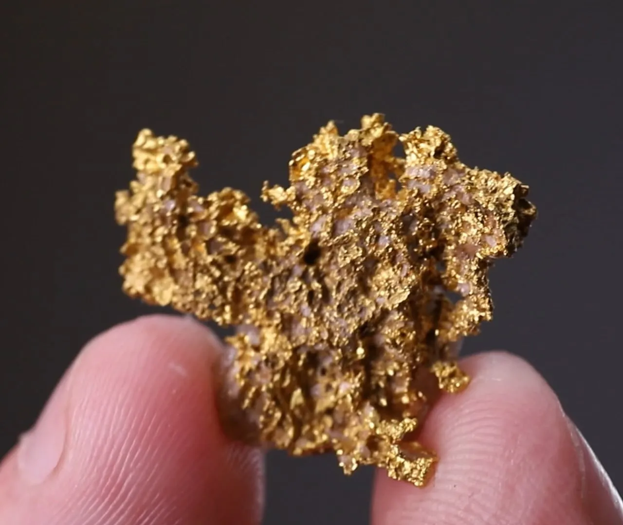 NATIVE Gold - image 2