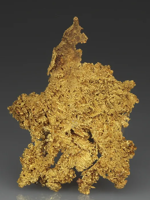 NATIVE Gold image