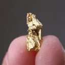 NATIVE Gold - image 2