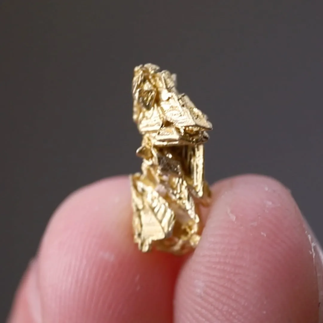 NATIVE Gold - image 2