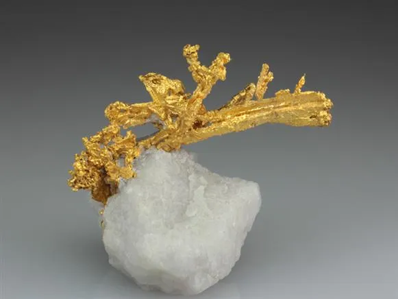 NATIVE Gold image