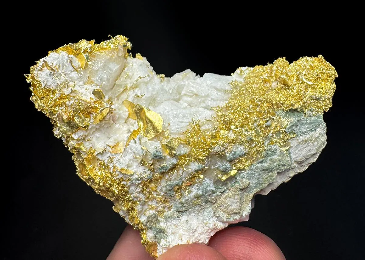 NATIVE Gold - image 1