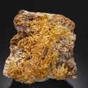 NATIVE Gold - image 1