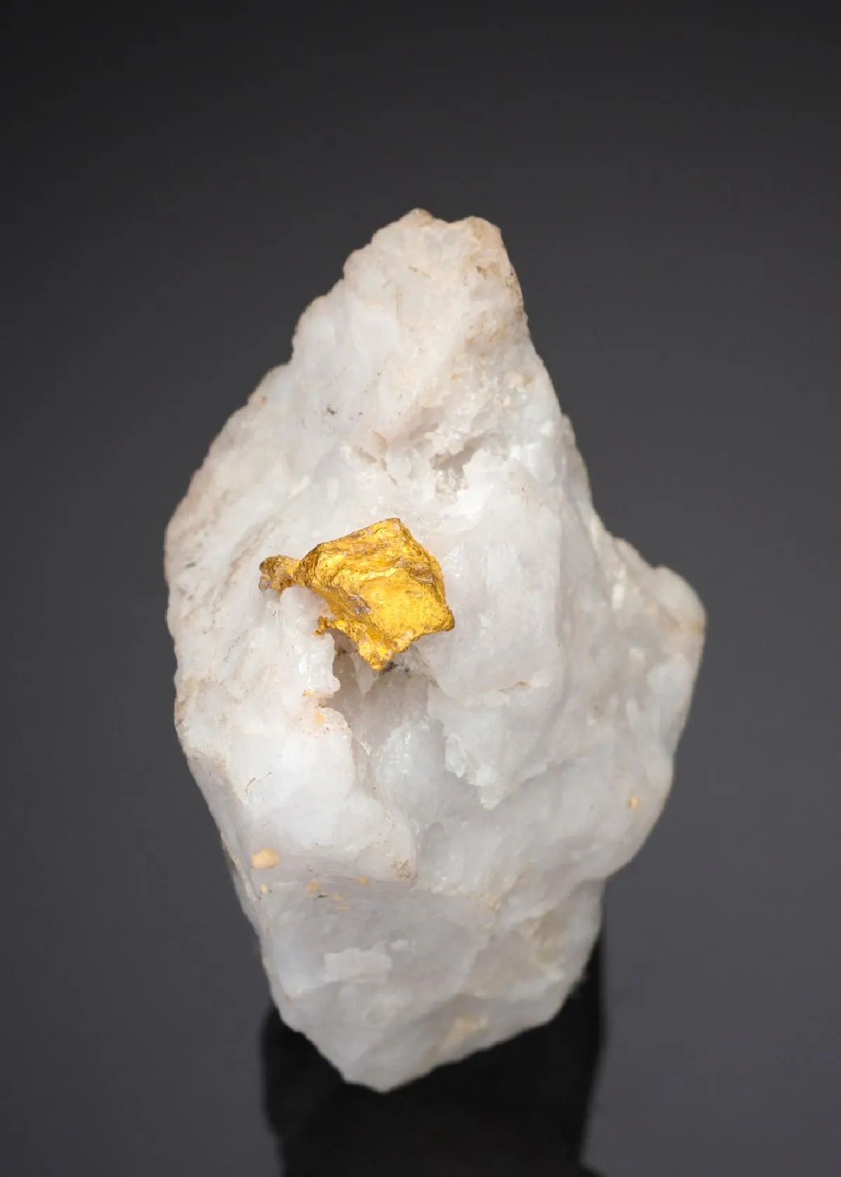 NATIVE Gold - image 1