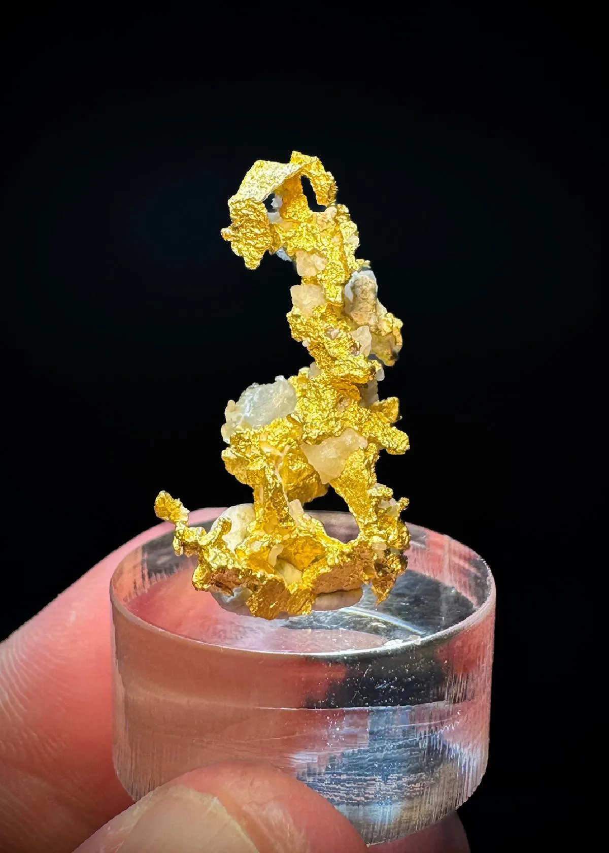 NATIVE Gold - image 1