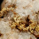 NATIVE Gold - image 1