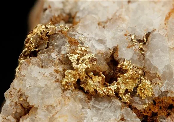 NATIVE Gold - image 1