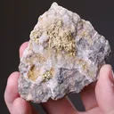 NATIVE Gold - image 2